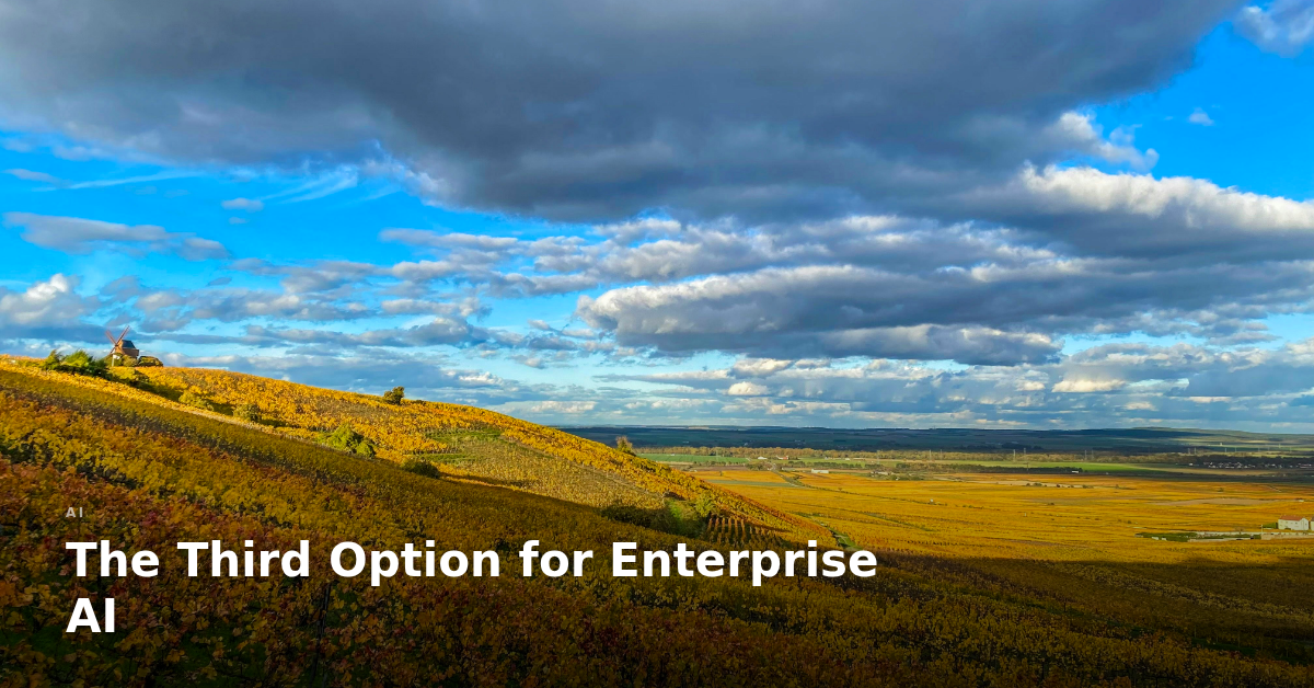 The Third Option for Enterprise AI